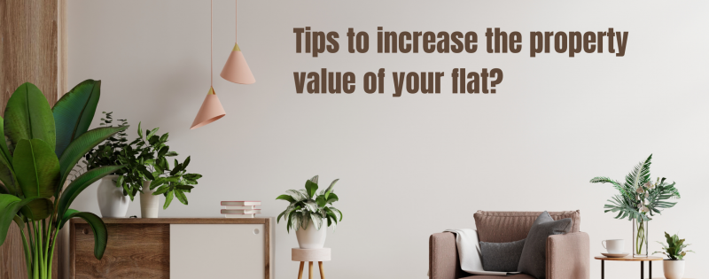 Tips to increase the property value of your flat?