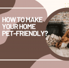 How to make your home pet-friendly