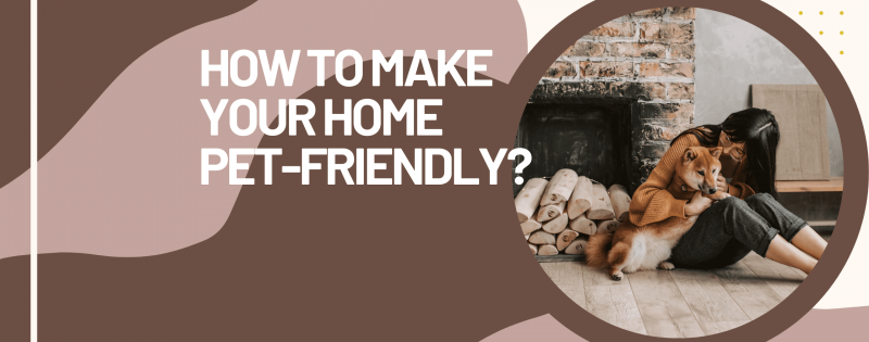 How to make your home pet-friendly
